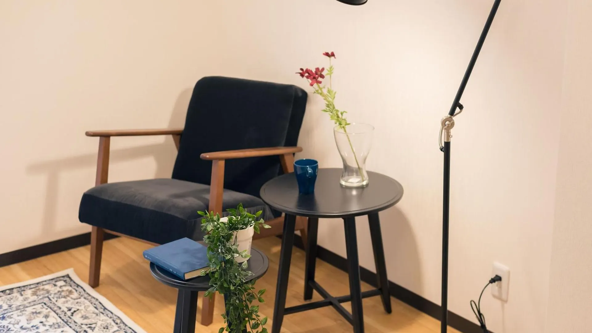 Guest house Tora Hotel Tokyo Ueno 寅ホテル 上野 C